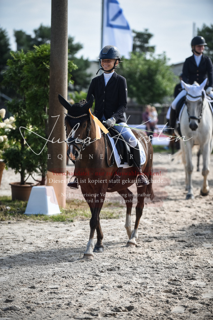 DSC_8725 | Pferde- und Turnierfotografie in Westsachsen. Pferdeportraits, Auftragszeichnungen und intuitive Kunst.