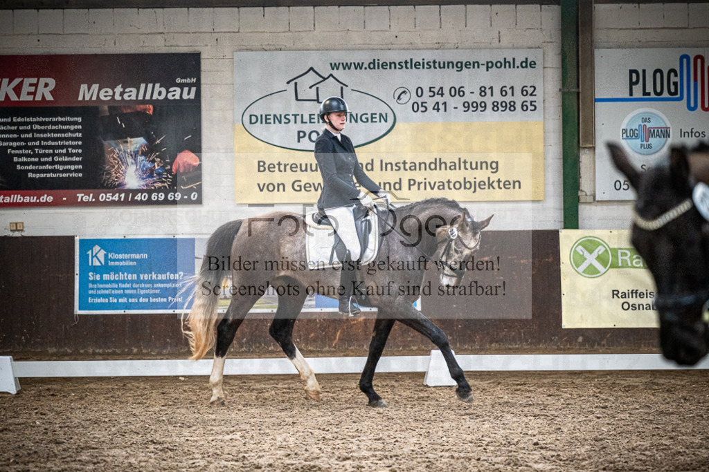 DOS_1036 | Entdecke hochwertige Reitturnierfotos von Foto Oger. Professionell, emotional und authentisch – jetzt Lieblingsmomente im Shop bestellen.Deutschlandweite Turnierfotografie. - Realisiert mit Pictrs.com