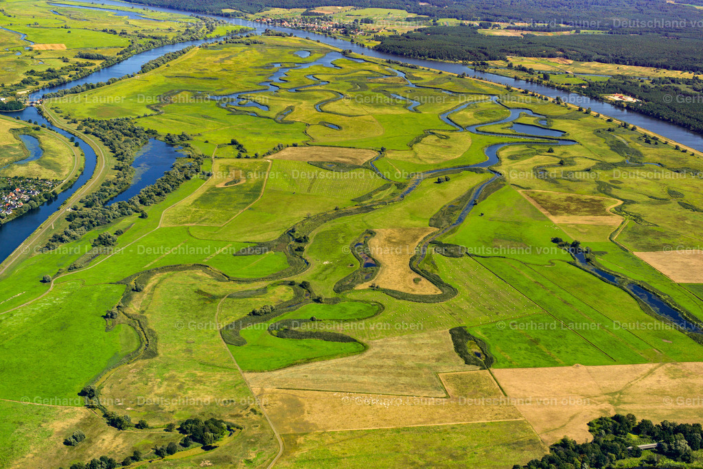 3637501 | Nationalpark Unteres Odertal bei SCHWEDT/ODER 25.08.2016 Grasflächen- Strukturen einer Wiesen- und Feld Landschaft in der Auen- Niederung am Ufer des Flußverlaufes der Oder in Schwedt/Oder in der Uckermark im Bundesland Brandenburg, Deutschland // Grassland structures of a meadow and field landscape in the lowland on the banks of the river Oder in Schwedt/Oder in the Uckermark in the state Brandenburg, Germany Foto: Gerhard Launer