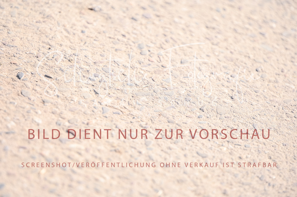 Schugtsche-Aluta25-52.Dressurprf.M2Kand-48 | Schugtsche Fotografie - Realisiert mit Pictrs.com