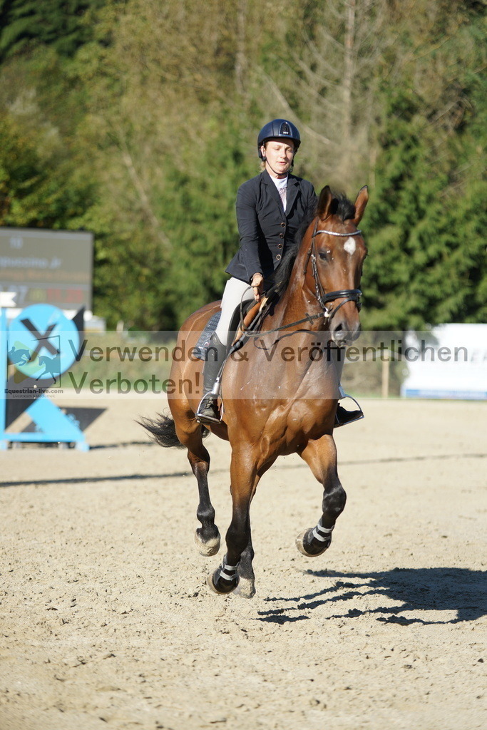DSC08229 | equestrian-live-com