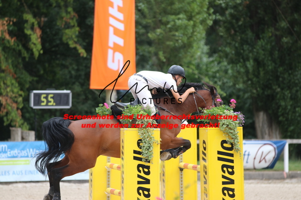 IMG_8134 | lmwpictures - Realisiert mit Pictrs.com