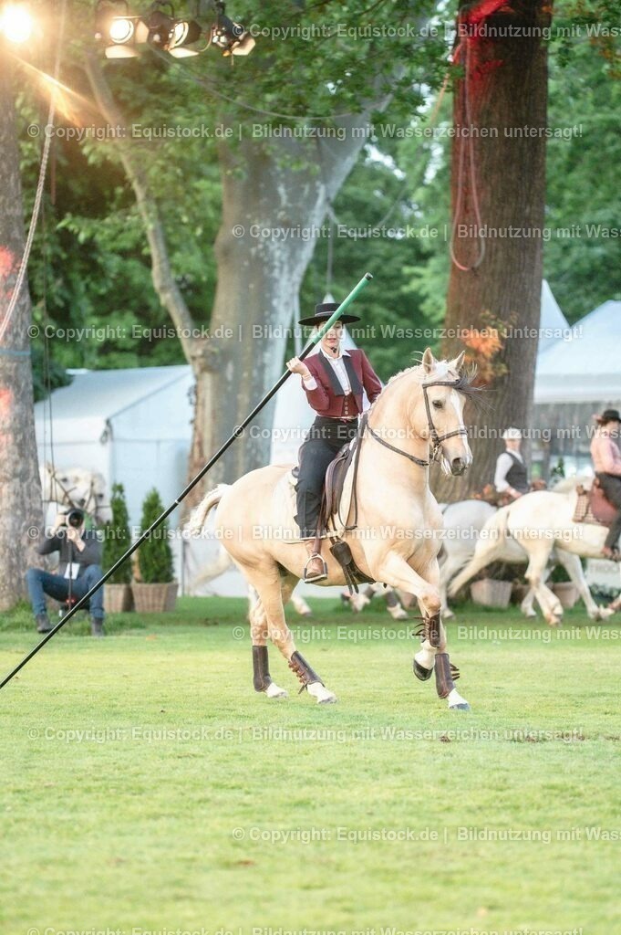 20230526_Pferdenacht_0740 | equistock