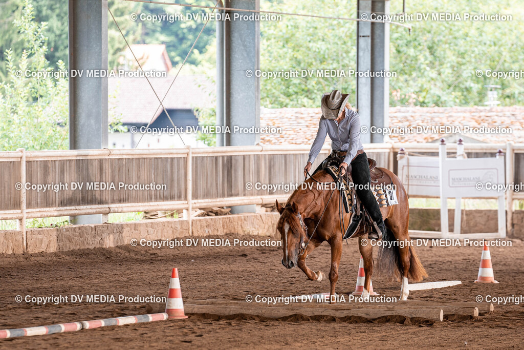 Erbach Tag 3-904 | dv-media-shop - Realisiert mit Pictrs.com