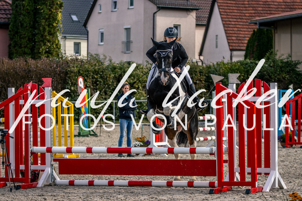 IMG_5558 | Erleben Sie dynamische Sport- und emotionale Tierfotografie in Süddeutschland mit Fotos von Paula. Spezialisiert auf Pferde- und Hundefotografie sowie Sportevents. Kontaktieren Sie mich für einzigartige und ausdrucksstarke Bilder Ihrer besonderen Momente. - Realisiert mit Pictrs.com