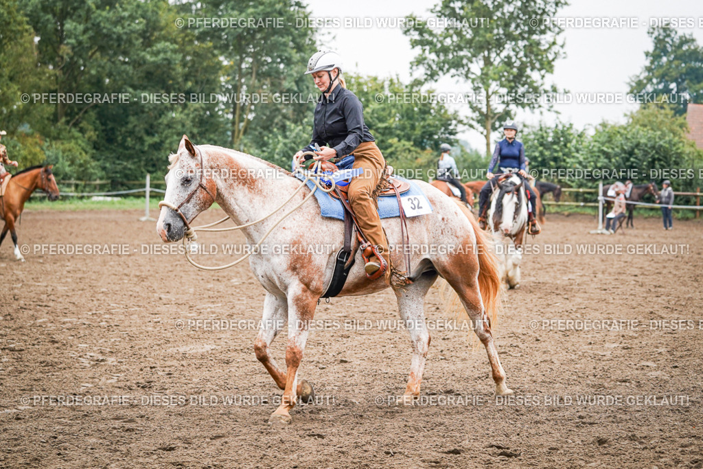 DSC02122 | Pferdegrafie