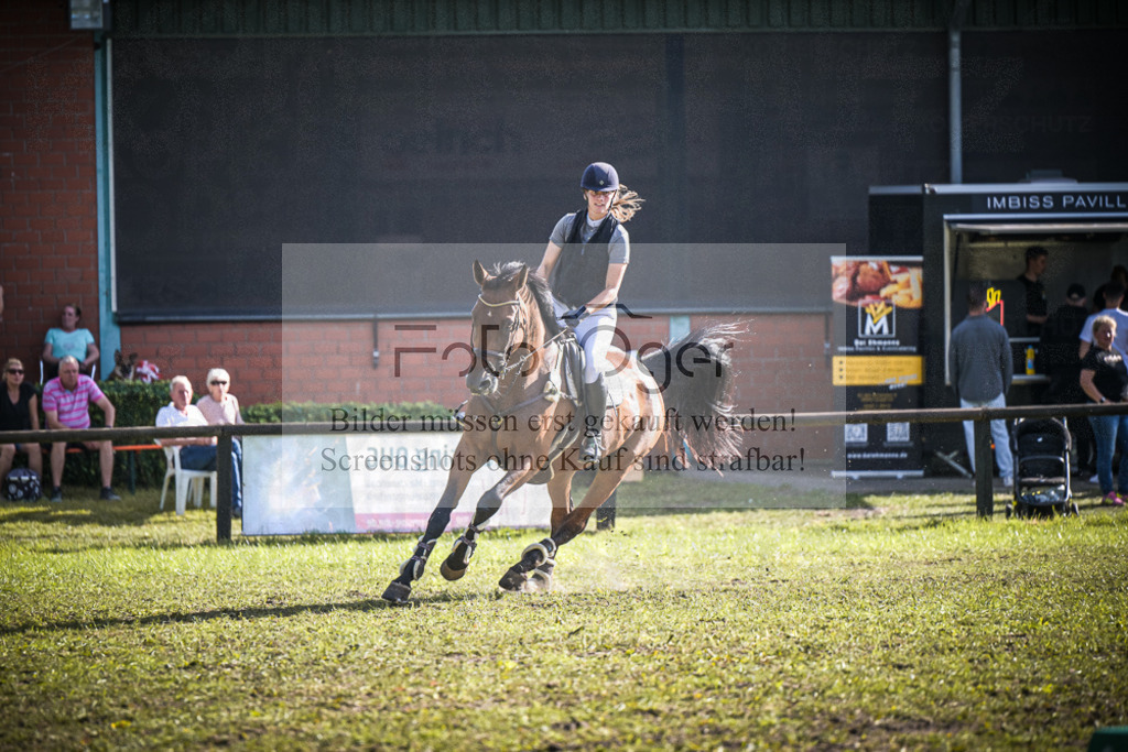 DOS_0030 | Entdecke hochwertige Reitturnierfotos von Foto Oger. Professionell, emotional und authentisch – jetzt Lieblingsmomente im Shop bestellen.Deutschlandweite Turnierfotografie. - Realisiert mit Pictrs.com