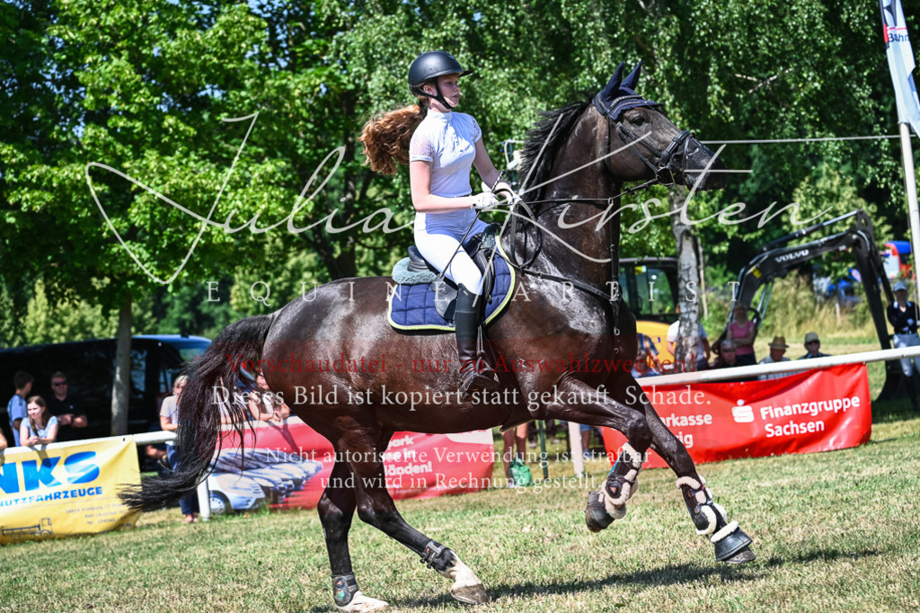 DSC_0963 | Pferde- und Turnierfotografie in Westsachsen. Pferdeportraits, Auftragszeichnungen und intuitive Kunst.