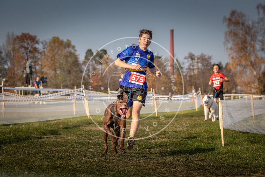 CaniXpix_0L8A9550 | Hundefotografie, Tierfotograf, Pfotenfotografie, Fotoshooting Hund, Hunde Portrait, Hundesport, Hundeportraits, Heideshooting, Hunde, Sportfotograf, Hundefotograf, Turnierhundsport, THS,  - Realisiert mit Pictrs.com
