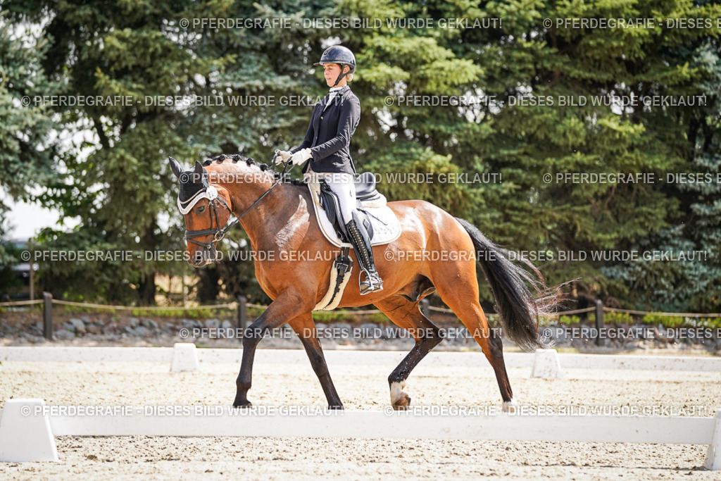 DSC09057 | Pferdegrafie