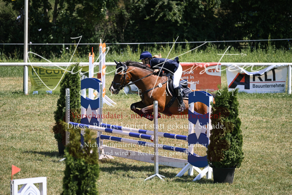 DSC_9928 | Pferde- und Turnierfotografie in Westsachsen. Pferdeportraits, Auftragszeichnungen und intuitive Kunst.