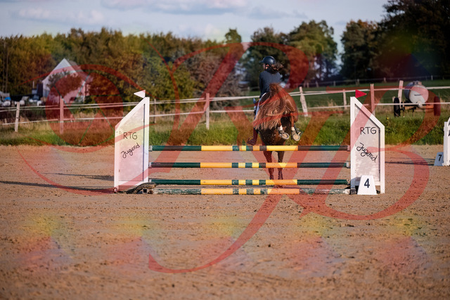 2026_10_03_Siefer-Hof_171217_Z81_09488087 | Professionelle Reitsport-, Turnier- und Eventfotografie von Robert Broda. Galerien mit ausgewählten und bearbeiteten Bildern direkt online ansehen und bestellen.