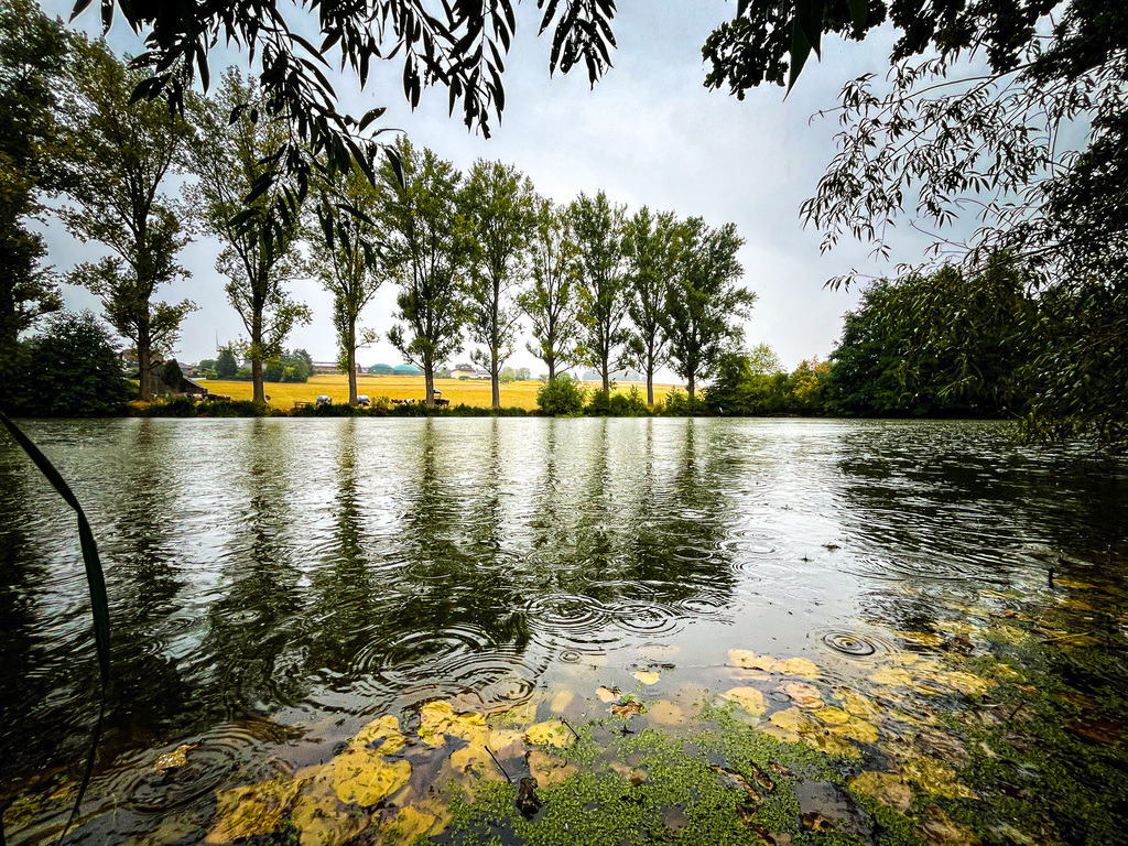 Tropfen ziehen Kreise - Wenings | Der Himmel über Wenings öffnete zum ersten Mal seit langem seine Wassertore. Wer sich in den strömenden Regen traute, wurde am Stauweiher mit einem selten gewordenen Schauspiel belohnt: Die Regentropfen verwandelten die Wasseroberfläche in ein Kunstwerk sich überschneidender Kreise. Stets im Wandel und sich niemals wiederholend, zeigte sich die Schönheit der Natur in ihrer unausweichlichen Vergänglichkeit. - Realisiert mit Pictrs.com