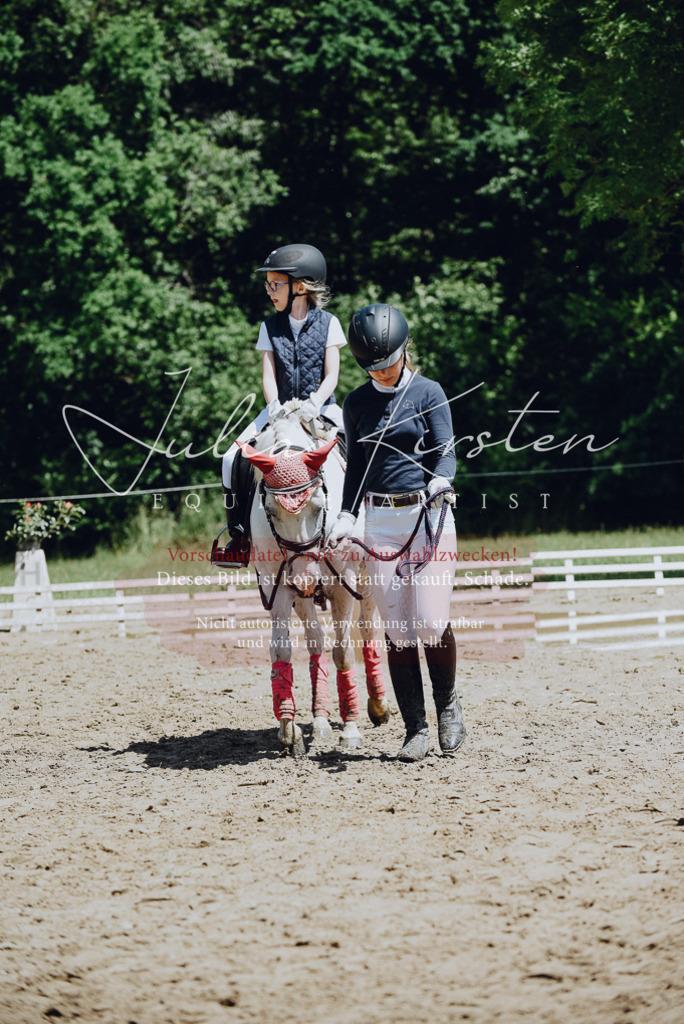 DSC_2594 | Pferde- und Turnierfotografie in Westsachsen. Pferdeportraits, Auftragszeichnungen und intuitive Kunst.