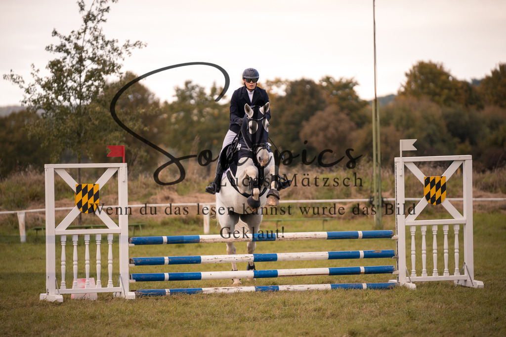 A7V06430 | Pferdefotograf