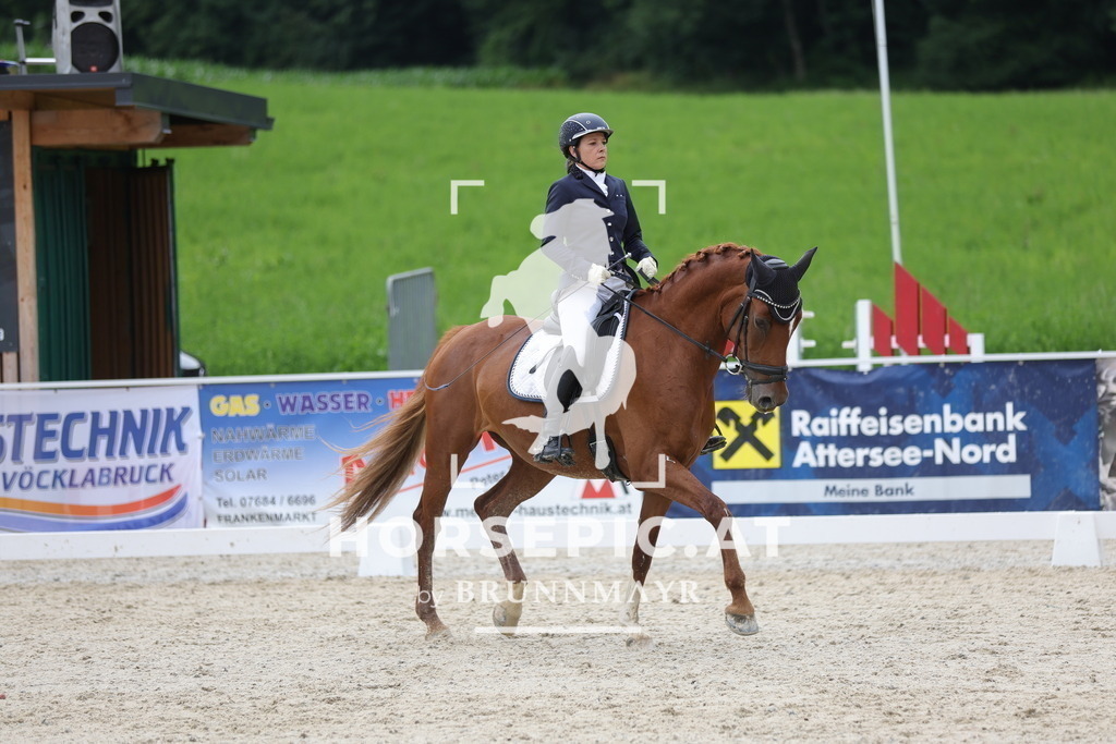 0P6A5198 | Willkommen bei Brunnmayr - Design & Fotografie – Ihrem Spezialisten für Reitturniere und Pferdeveranstaltungen in Oberösterreich, Salzburg und Bayern! Seit über 17 Jahren sind wir leidenschaftlich dabei.