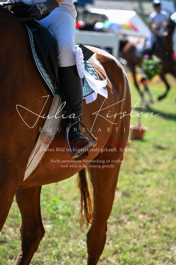 DSC_1782 | Pferde- und Turnierfotografie in Westsachsen. Pferdeportraits, Auftragszeichnungen und intuitive Kunst.
