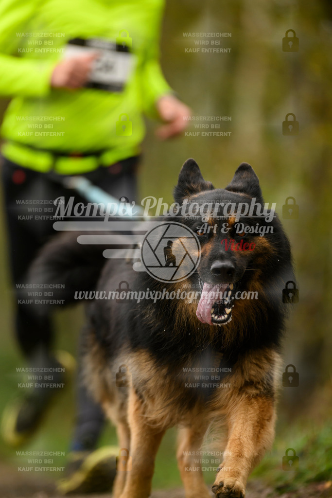 MompixPhotography_20TSB_E6_Run-163 | PayLife