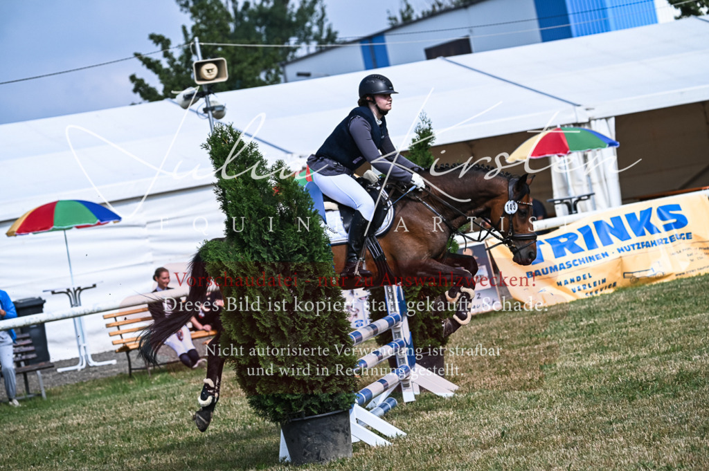 DSC_7996 | Pferde- und Turnierfotografie in Westsachsen. Pferdeportraits, Auftragszeichnungen und intuitive Kunst.
