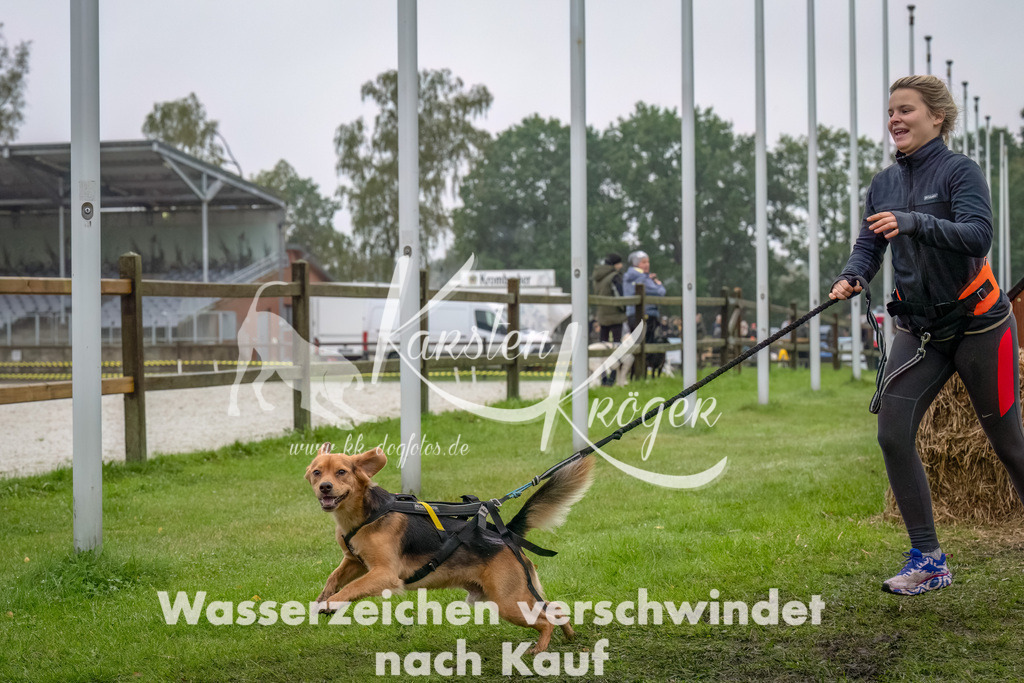 1225--12 | kk-dogfotos