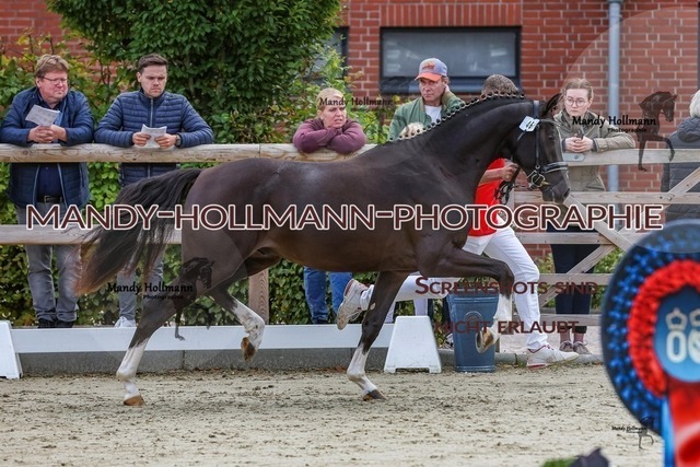 39-15 | mandyhollmannphotographie