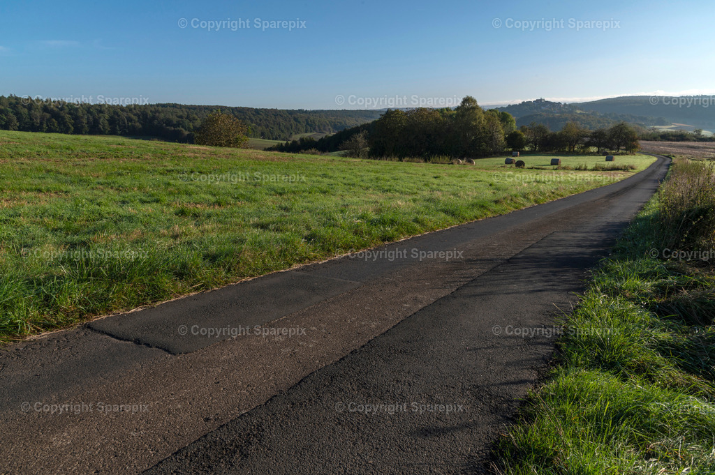 CAR_Agri_Dirt_Road10 | Camera height 1,30m - light 2/30° - Realisiert mit Pictrs.com