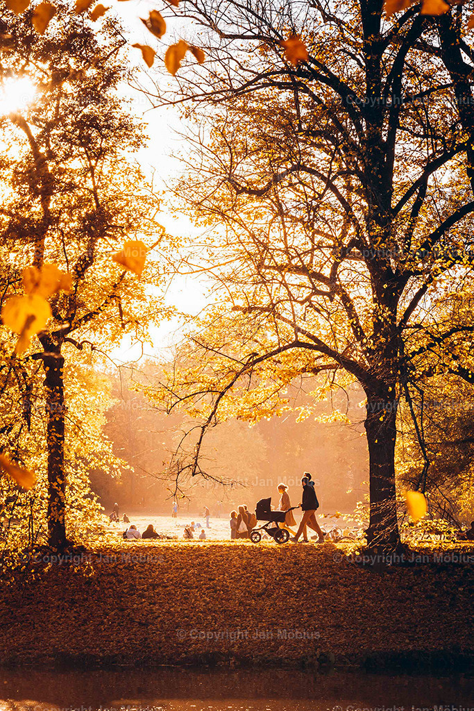 Clara Park | Der Clara-Zetkin-Park in Leipzig ist ein beliebter Ort für Natur, Sport und Erholung – perfekt für Spaziergänge, Jogging und entspannte Stunden im Grünen. - Realisiert mit Pictrs.com