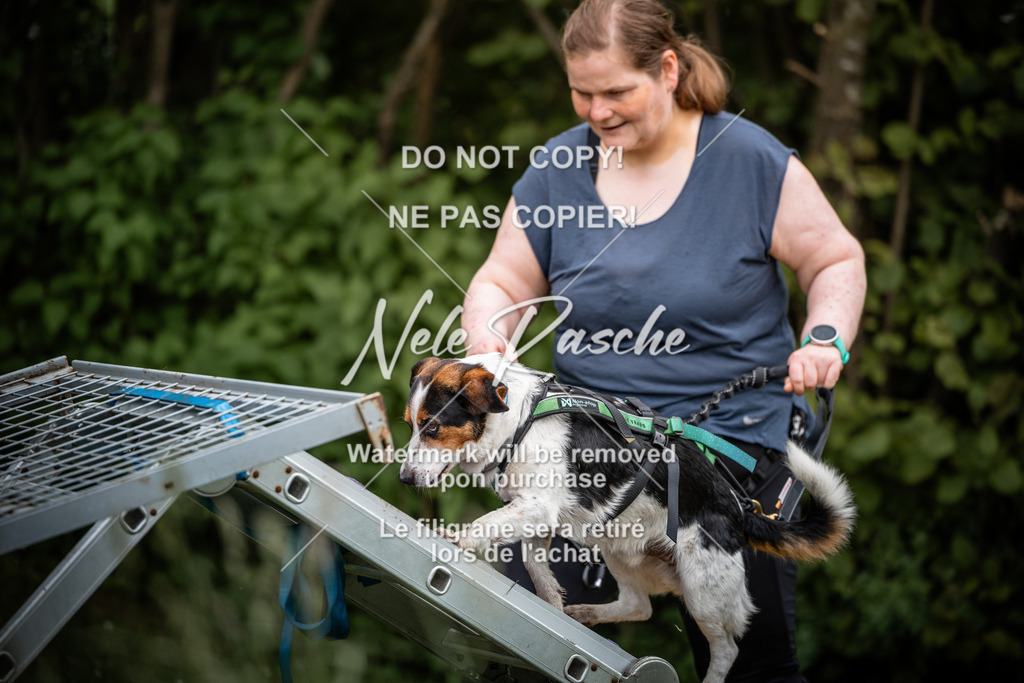 nelerasche_So-funtrail_131 | nelerasche