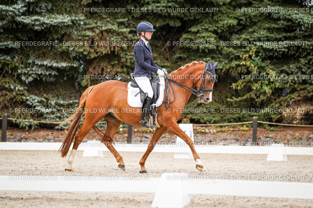 DSC07109 | Pferdegrafie