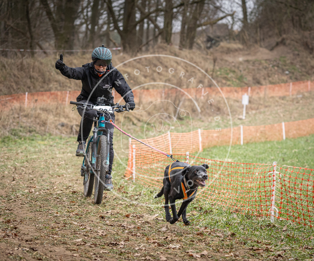 Pfotenfotografie_DV3A5629 | Hundefotografie, Tierfotograf, Pfotenfotografie, Fotoshooting Hund, Hunde Portrait, Hundesport, Hundeportraits, Heideshooting, Hunde, Sportfotograf, Hundefotograf, Turnierhundsport, THS,  - Realisiert mit Pictrs.com