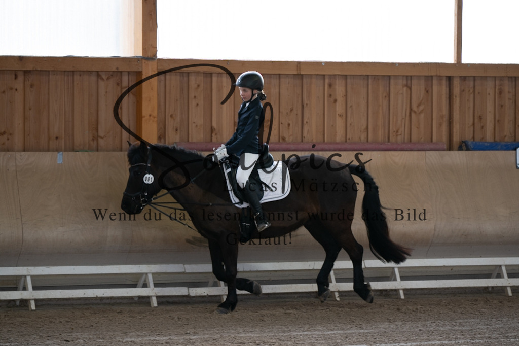 A7V09058 | Pferdefotograf