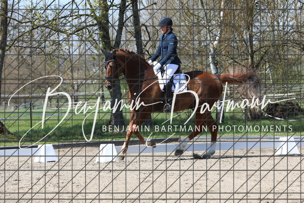 AZ2A5034 | Benjamin Bartmann Photomoments