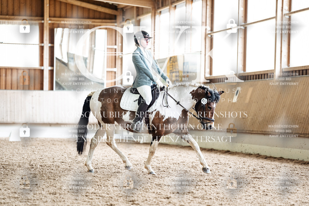 CK901108 | Turnierfotografie Pferdefotografie Trier Rheinland-Pfalz Pferdesport Reitsport Tierfotografie Sportfotografie Pferdevideo Pferdevideografie Equestrianvideography equestrianphotography  - Realisiert mit Pictrs.com