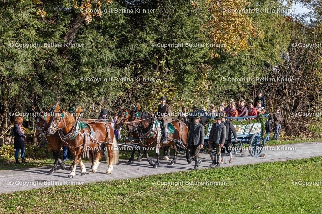 LBT24-353 | foto-bettina-krinner - Realisiert mit Pictrs.com