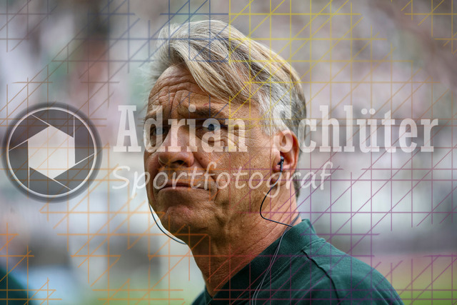 Borussia Mönchengladbach vs SV Werder Bremen - Bundesliga  | Mönchengladbach, Deutschland, 14.09.25:   Trainer Horst Steffen (SV Werder Bremen) schaut waehrend des Spiels der Bundesliga zwischen Borussia Mönchengladbach vs SV Werder Bremen im Stadion im Borussia Park(Foto von Brauer-Fotoagentur / Adrian Schlueter)