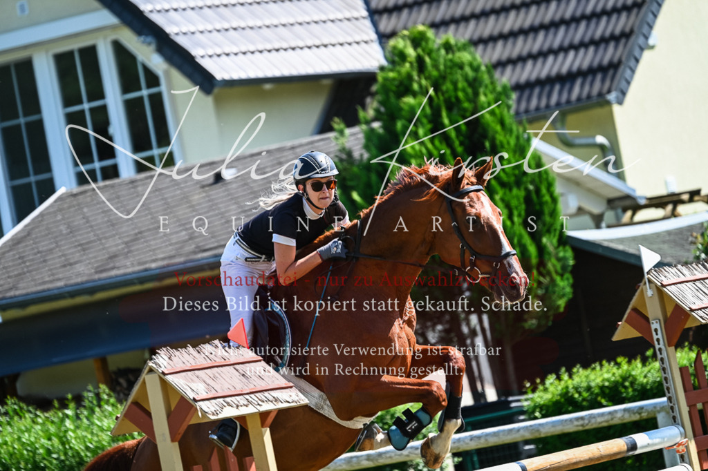 DSC_1258 | Pferde- und Turnierfotografie in Westsachsen. Pferdeportraits, Auftragszeichnungen und intuitive Kunst.
