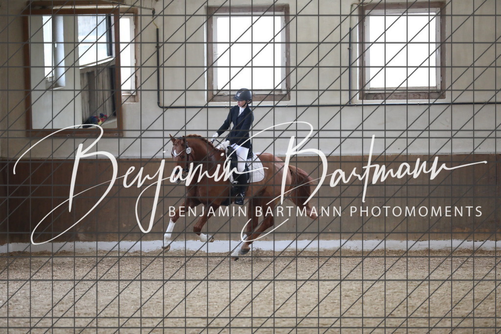 AZ2A0071 | Benjamin Bartmann Photomoments
