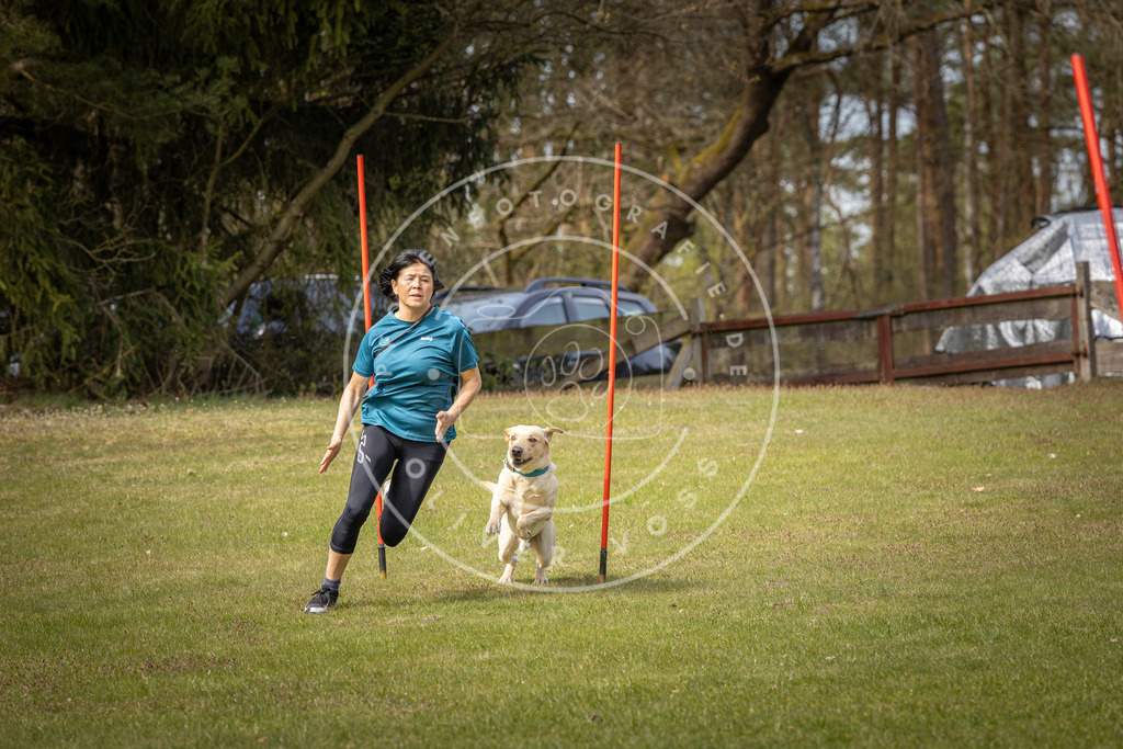 Pfotenfotografie_DV3A7263 | Hundefotografie, Tierfotograf, Pfotenfotografie, Fotoshooting Hund, Hunde Portrait, Hundesport, Hundeportraits, Heideshooting, Hunde, Sportfotograf, Hundefotograf, Turnierhundsport, THS,  - Realisiert mit Pictrs.com