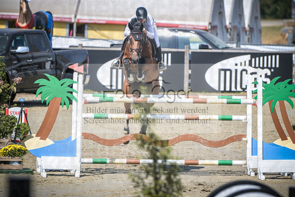DOS_1411 | Entdecke hochwertige Reitturnierfotos von Foto Oger. Professionell, emotional und authentisch – jetzt Lieblingsmomente im Shop bestellen.Deutschlandweite Turnierfotografie. - Realisiert mit Pictrs.com