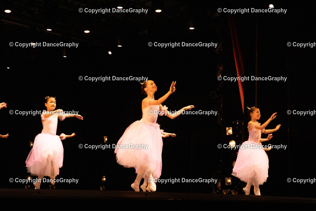 GPHY4687 | DanceGraphy - Realisiert mit Pictrs.com