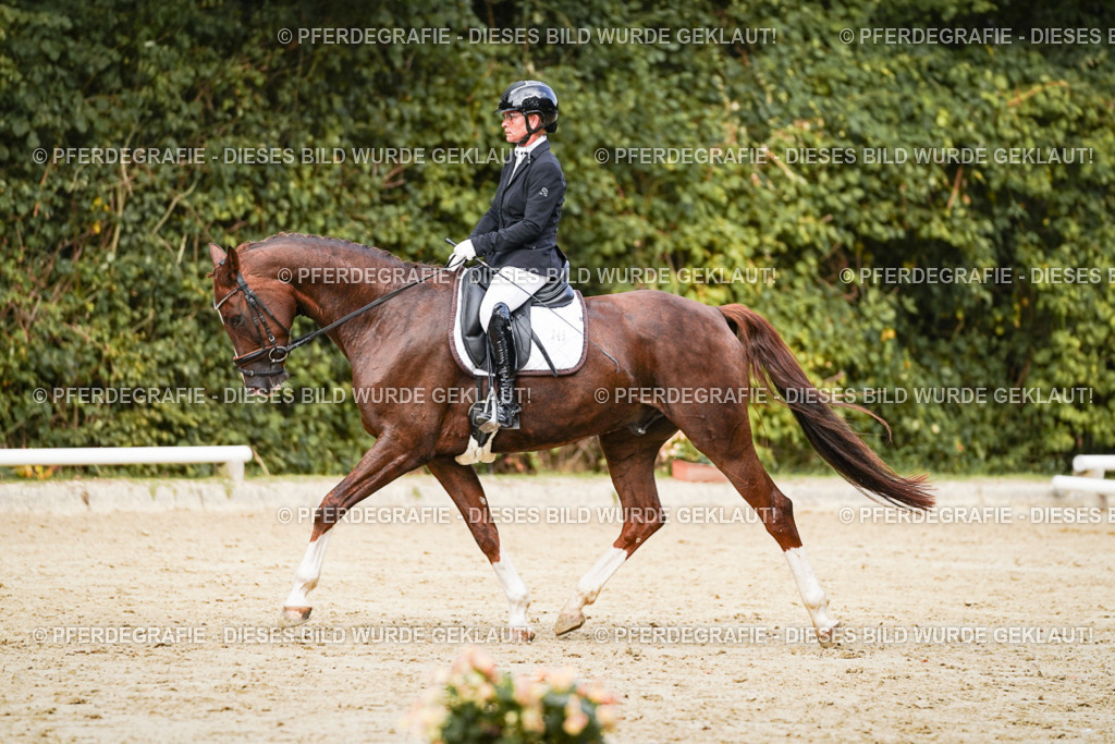 DSC02686 | Pferdegrafie