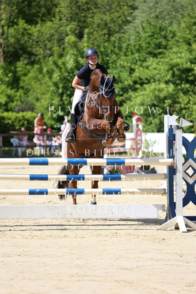 IMGS9752 | pl-fotografie