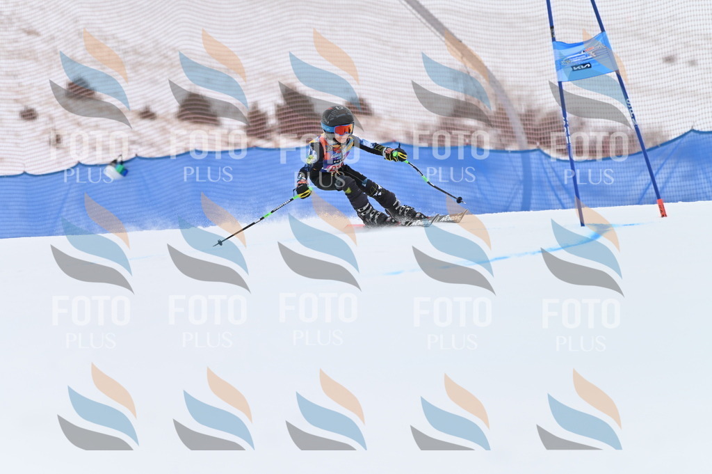 BGV_2780 | holidayphoto