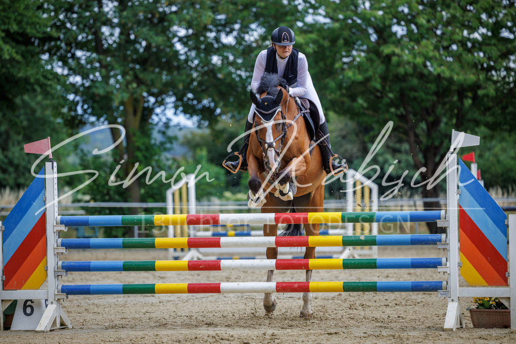 20260705-_3LI6020 | Tierfotografie Pferde, Hunde, Katzen, Haustiere.
Turnierfotografie Reitturniere, Reiten, Springreiten, Dressur in Hanau, dem Main-Kinzig-Kreis und dem Rhein-Main- Gebiet um Frankfurt