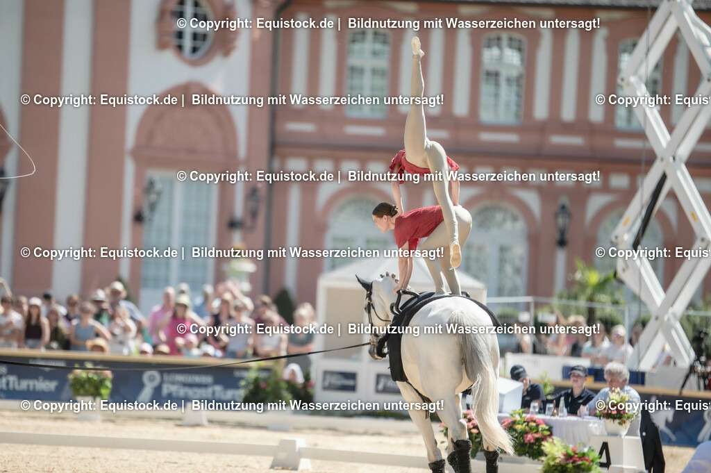 20230528_Voltigieren_NASPA_0347 | equistock