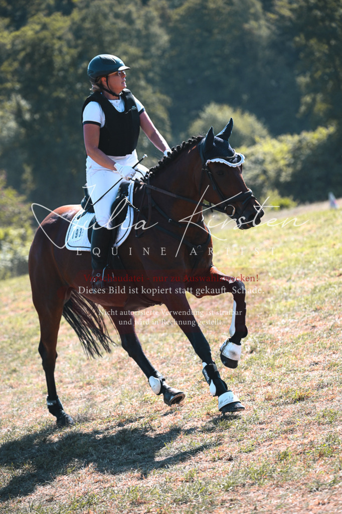 DSC_8156 | Pferde- und Turnierfotografie in Westsachsen. Pferdeportraits, Auftragszeichnungen und intuitive Kunst.