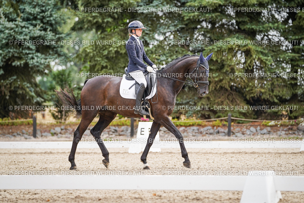 DSC01815 | Pferdegrafie