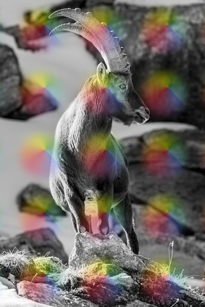 148A1128 | FineArtPrint, Hahnemühle, FeeGalerie, Fee Galerie, Fotokunst, Fotografie, Canonphotography, Bergfoto, Matterhorn, Rimpfischhorn, Allalinhorn, Saas-Fee, Wallis, Valais, Switzerland, Bergfotografie