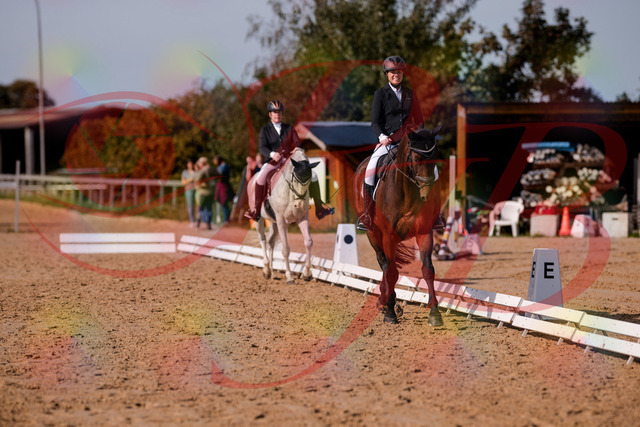 2026_10_03_Siefer-Hof_122834_Z81_27274868 | Professionelle Reitsport-, Turnier- und Eventfotografie von Robert Broda. Galerien mit ausgewählten und bearbeiteten Bildern direkt online ansehen und bestellen.