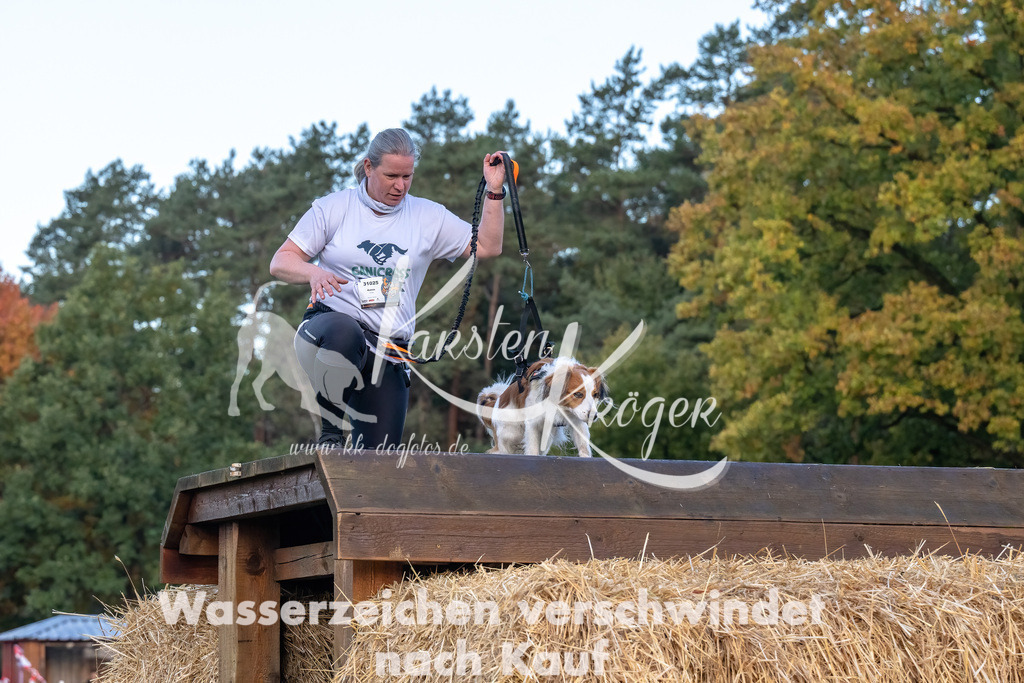 0814_ZZ94895-Bearbeitet | kk-dogfotos